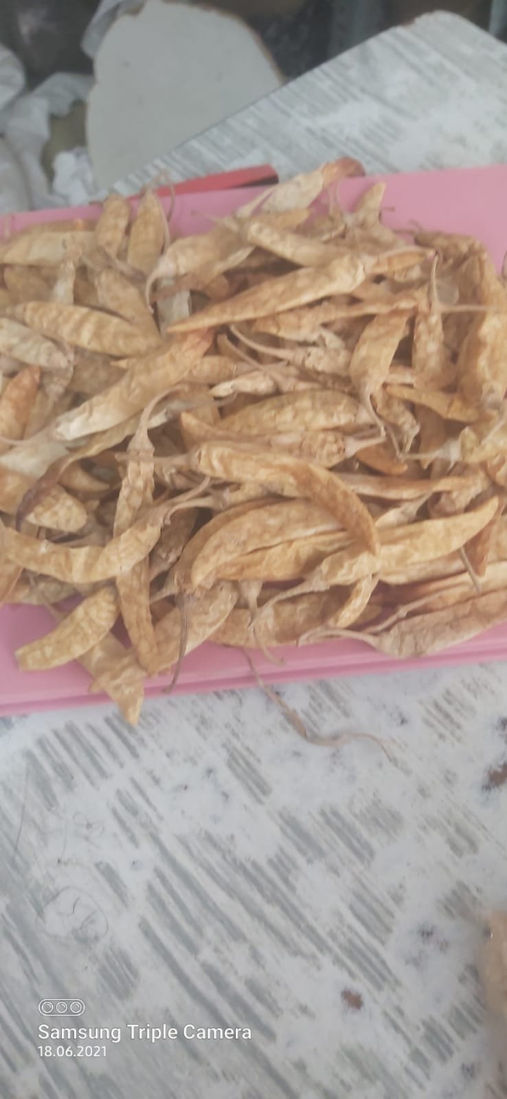 Tak Mirchi | ताक मिरची